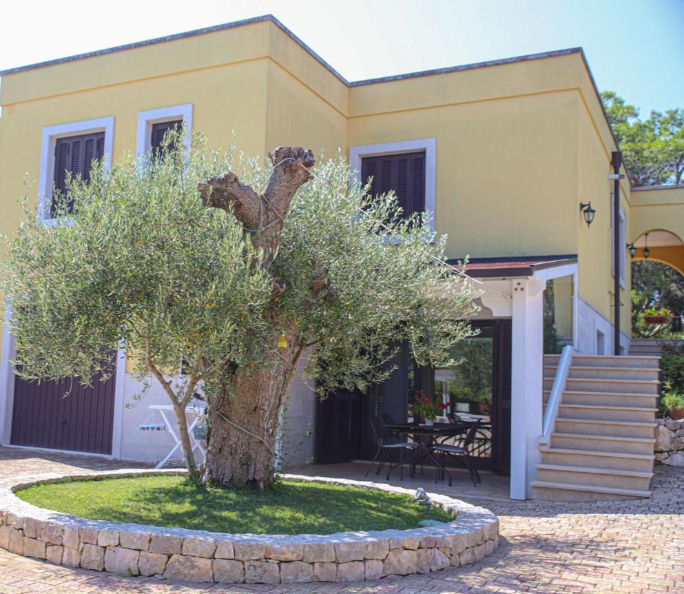 Villa Arisa With Pool Selva Di Fasano Eksteriør bilde