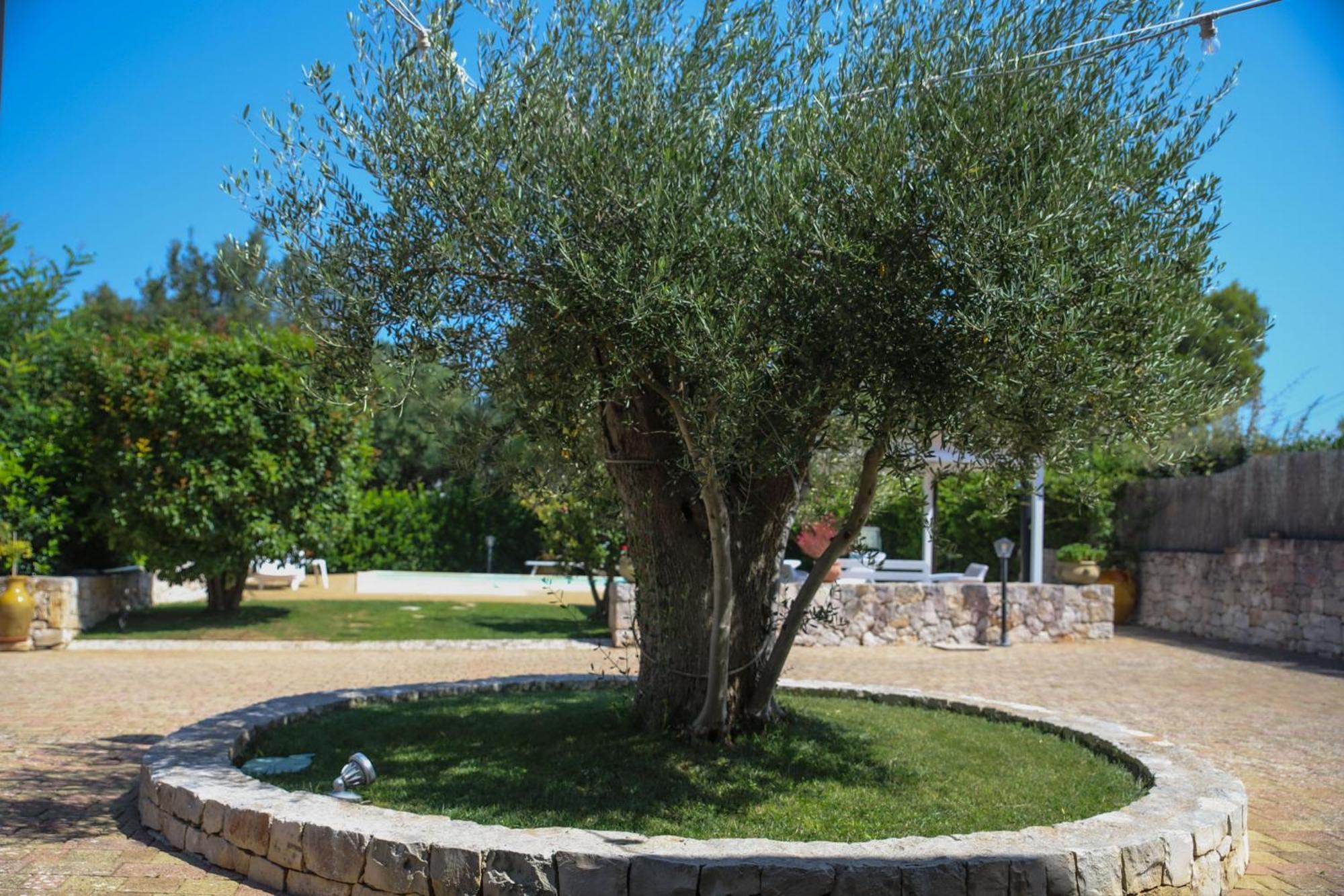 Villa Arisa With Pool Selva Di Fasano Eksteriør bilde