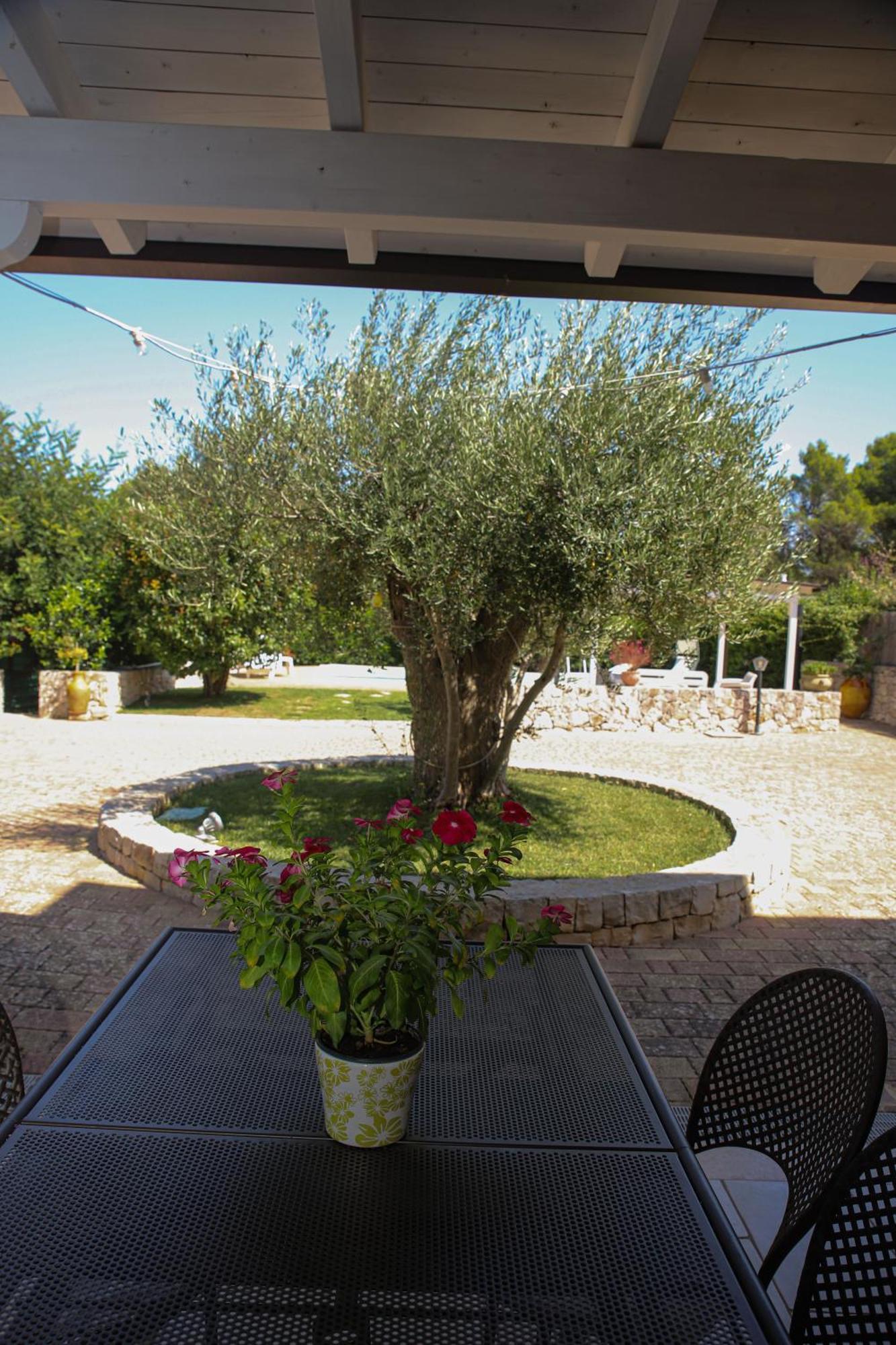 Villa Arisa With Pool Selva Di Fasano Eksteriør bilde